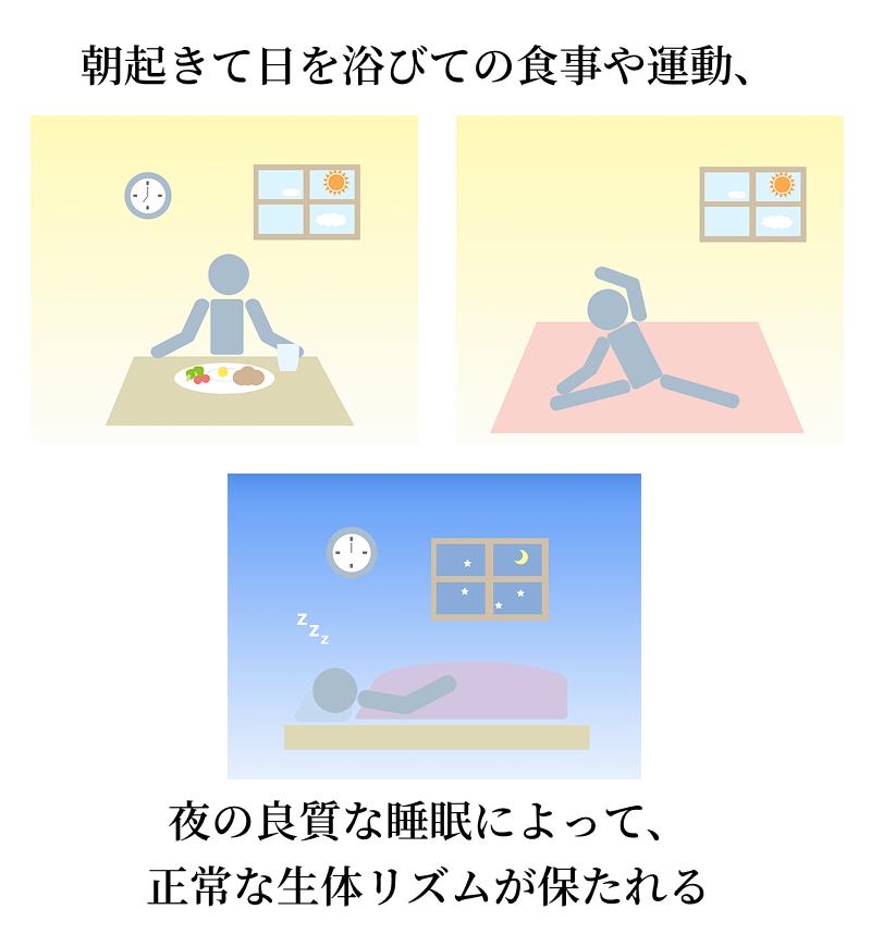 ”朝の30分”で健康寿命は変わる？朝活のメリットとは